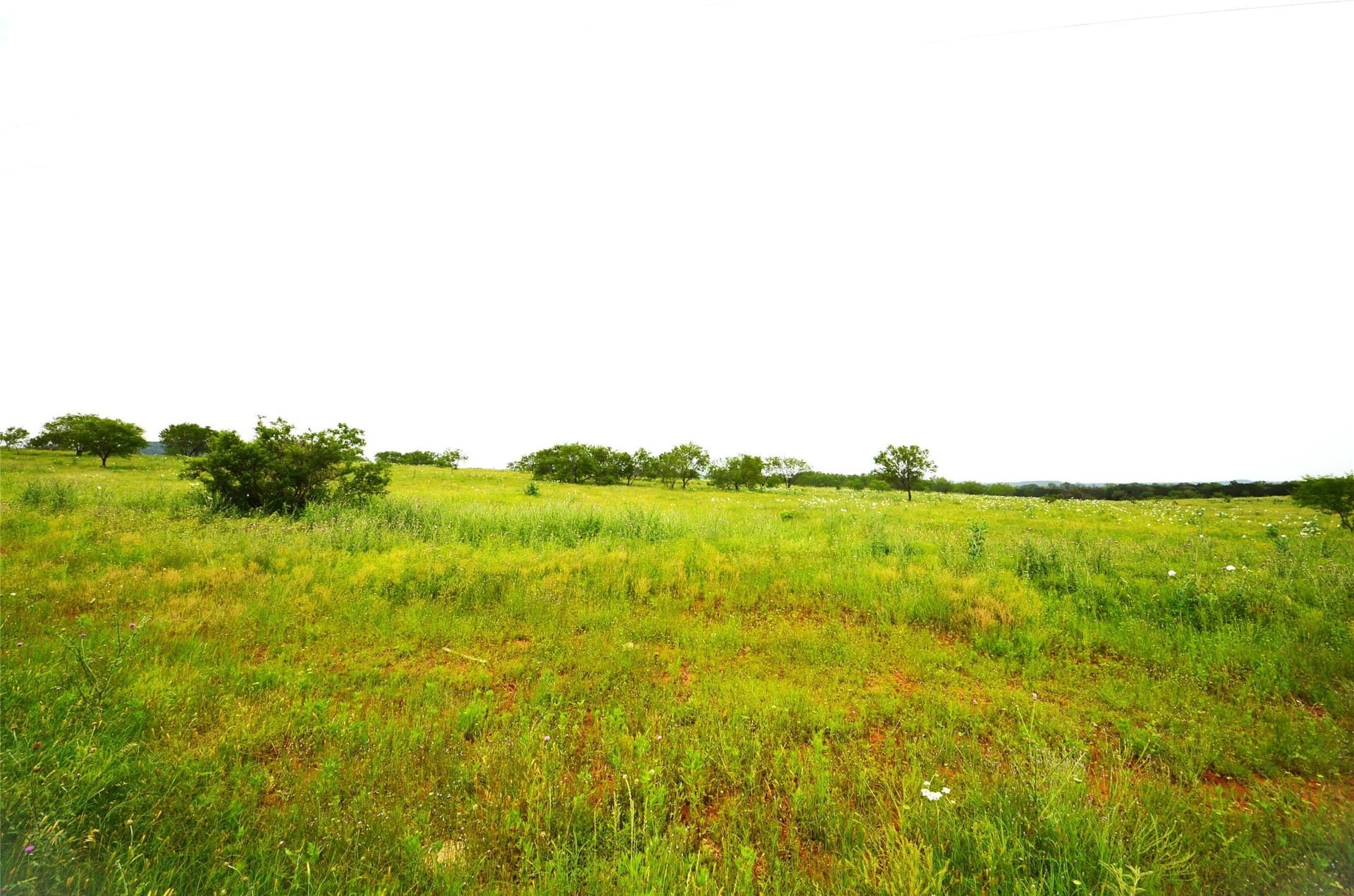 5.69 acres in Palo Pinto County - photo 6