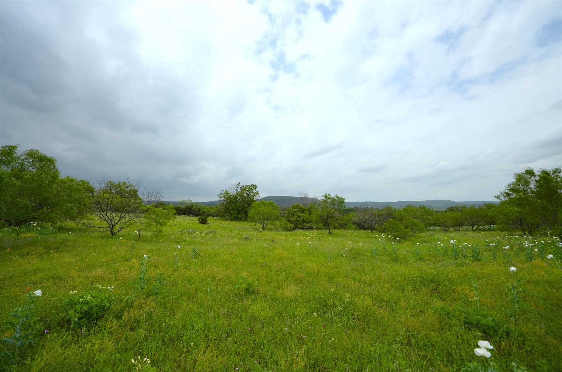5.69 acres in Palo Pinto County - photo 8