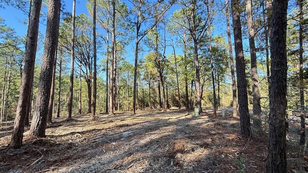 0.49 acres in Texas County gallery image 4