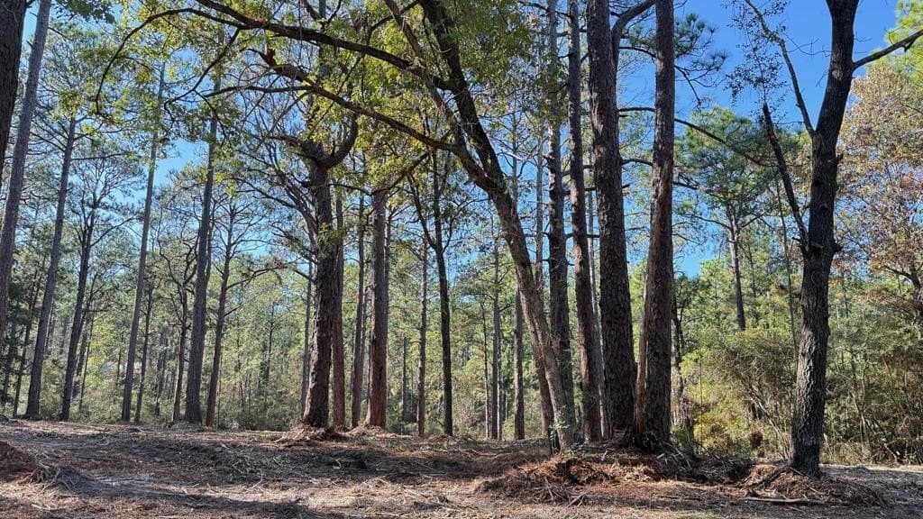 0.49 acres in Texas County featured view