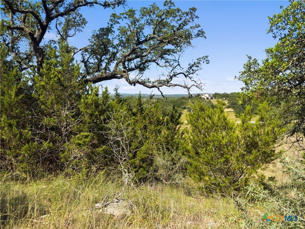 10.57 acres in Blanco County gallery image 2