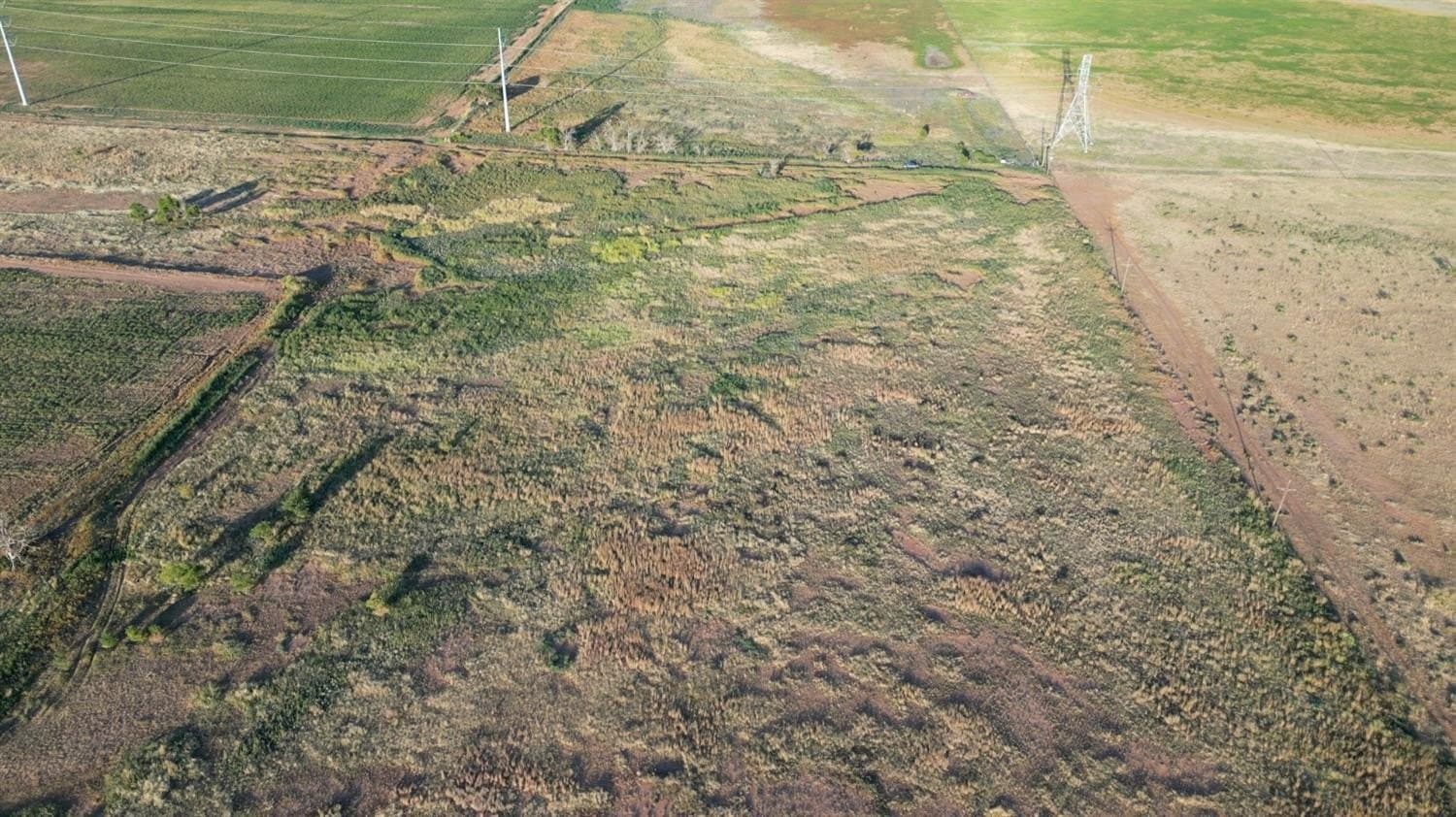 69.16 acres in Lubbock County - photo 3