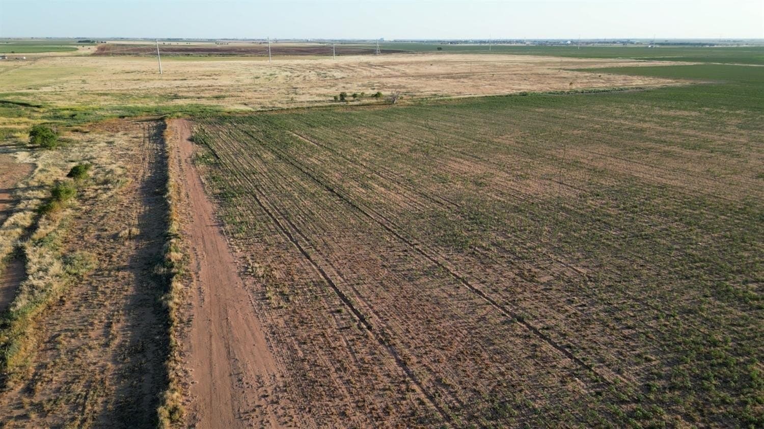 69.16 acres in Lubbock County - photo 7