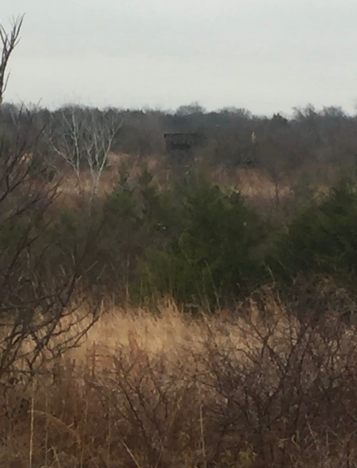 17.11 acres in Cooke County - photo 4