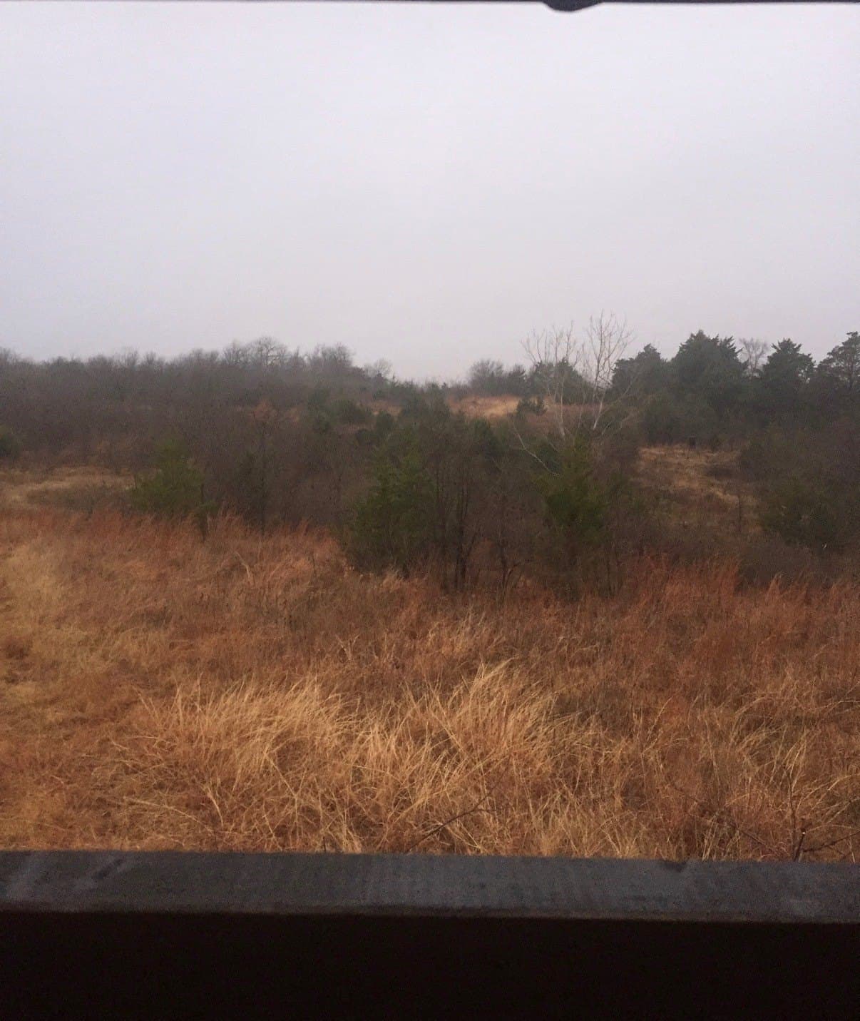 17.11 acres in Cooke County - photo 3