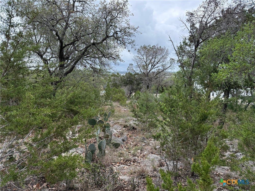 4.29 acres in Comal County gallery image 2