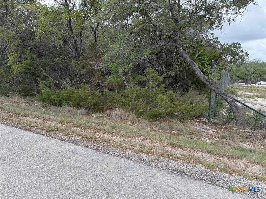 4.29 acres in Comal County gallery image 4