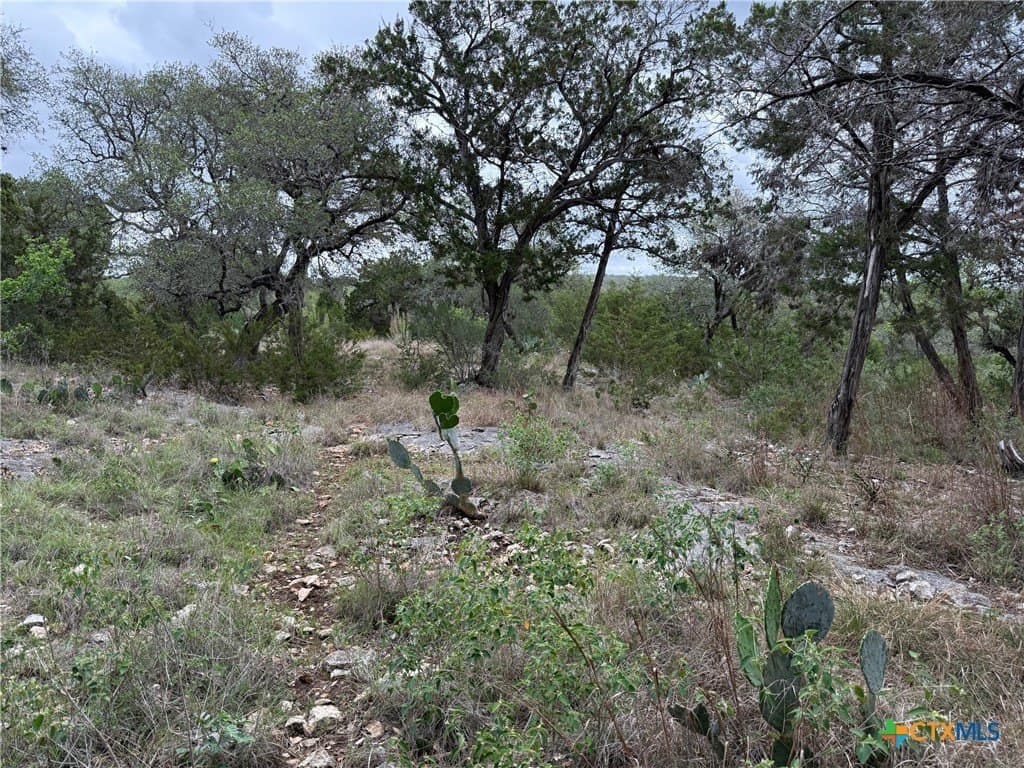 4.29 acres in Comal County gallery image 3