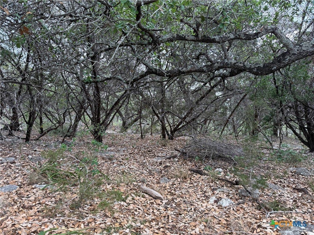 4.29 acres in Comal County - photo 6