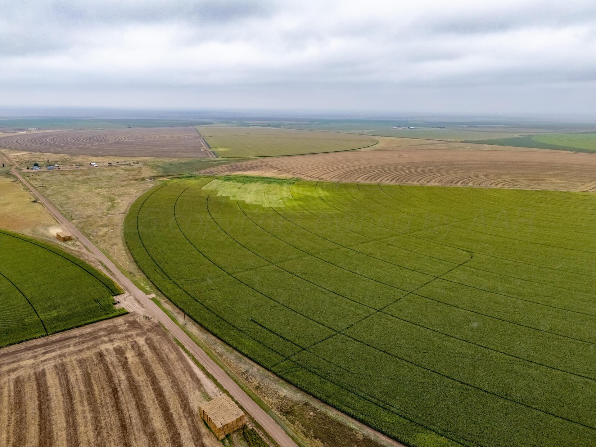 357.91 acres in Moore County gallery image 3