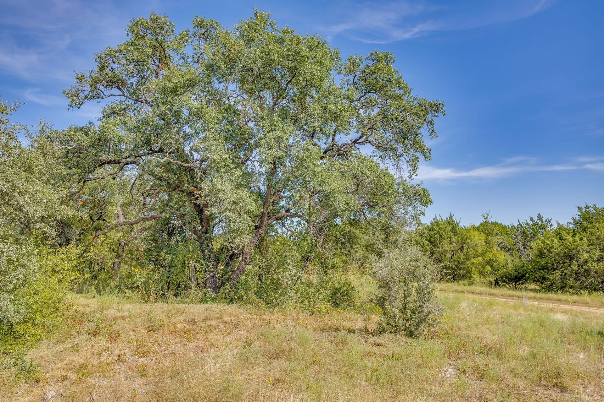 25.66 acres in Hamilton County - photo 34