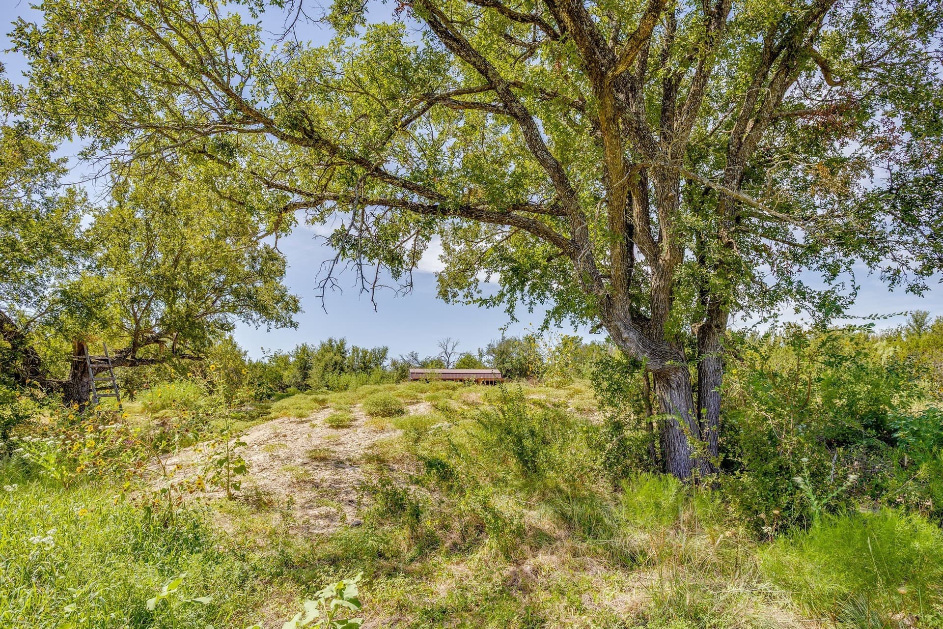 25.66 acres in Hamilton County - photo 36