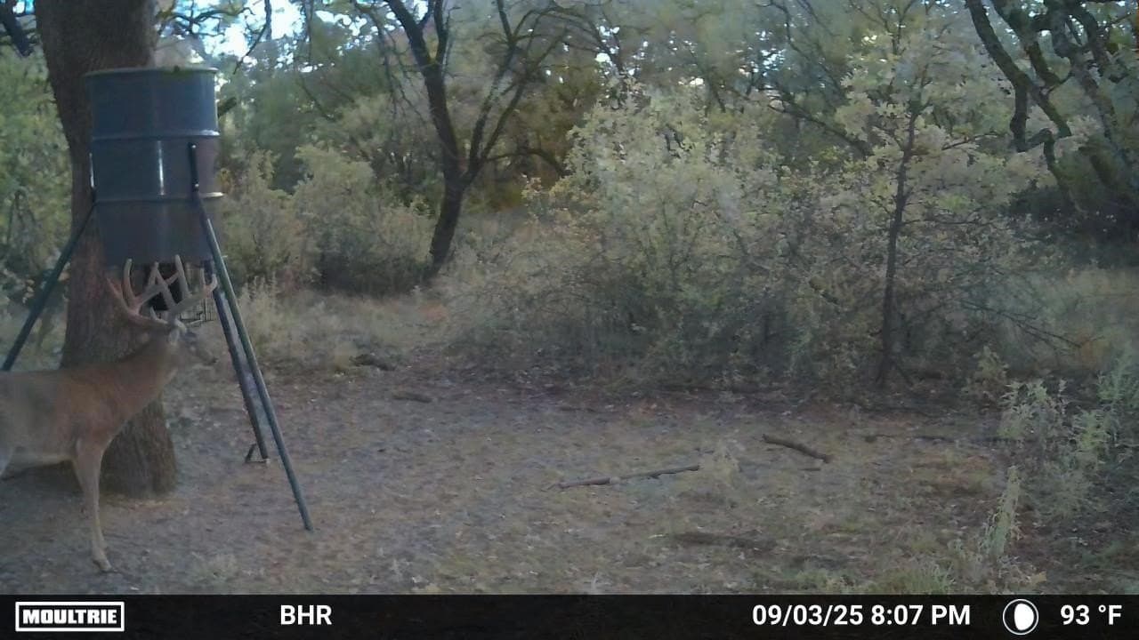 102.8 acres in Comanche County - photo 30