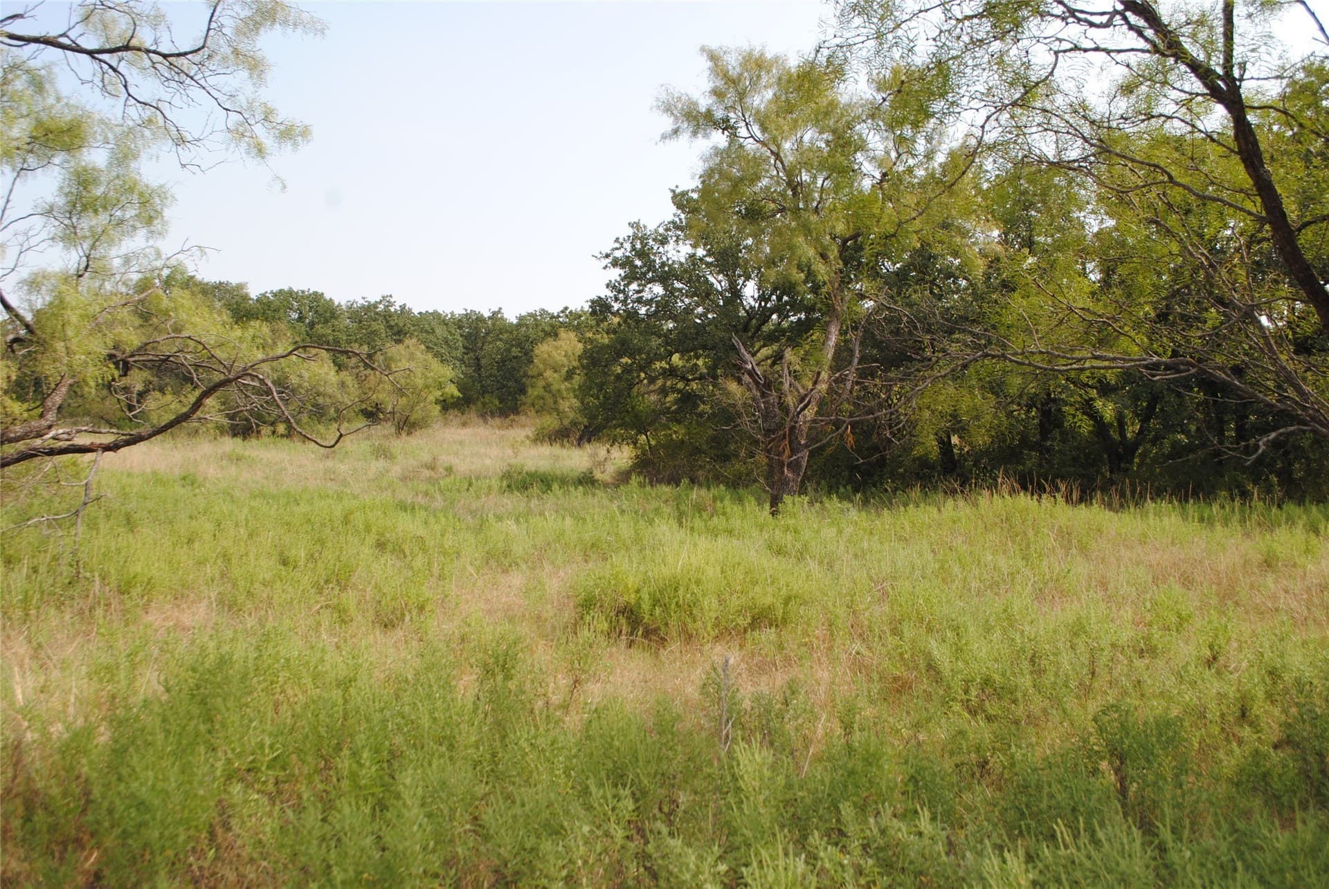102.8 acres in Comanche County - photo 26