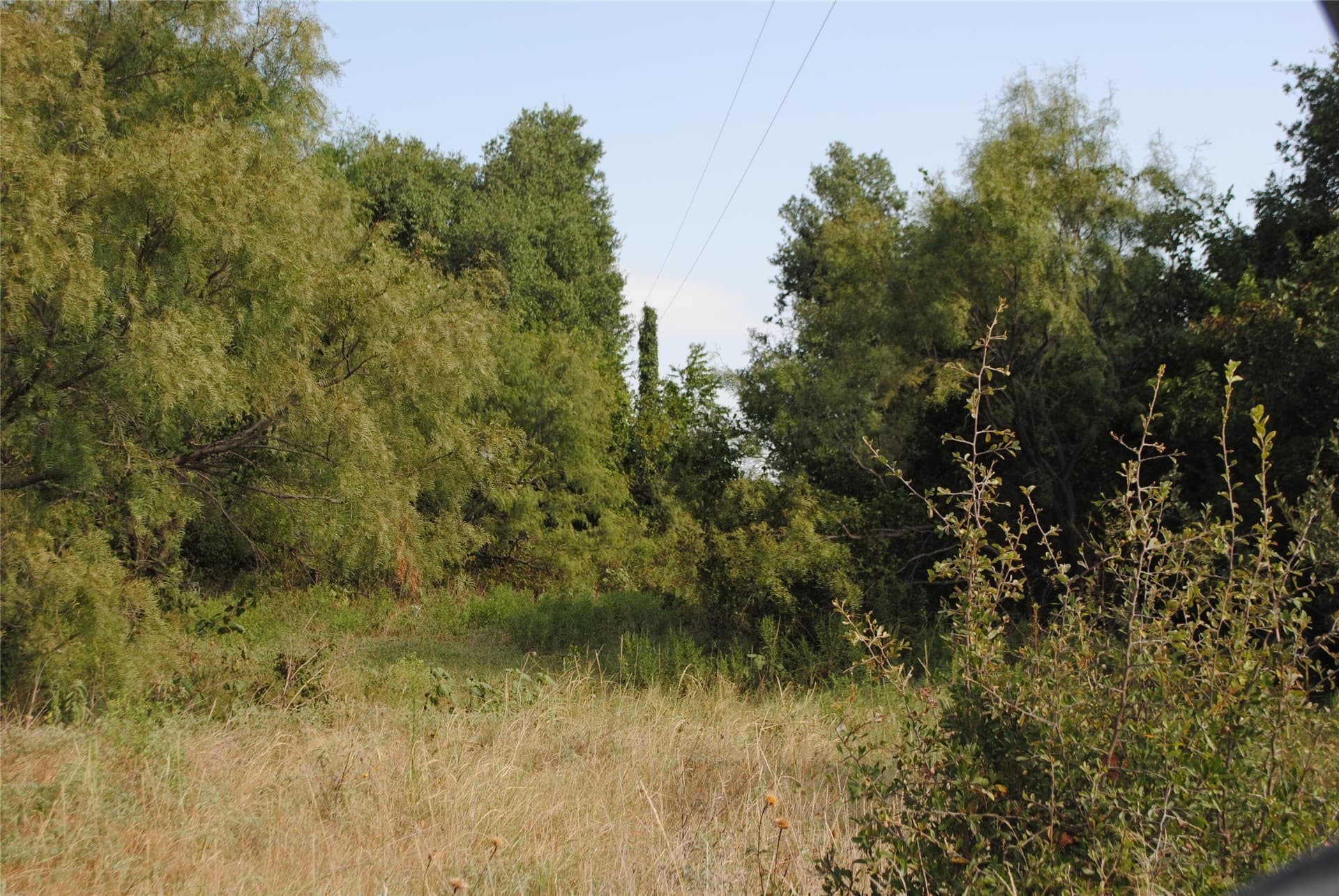 102.8 acres in Comanche County - photo 17