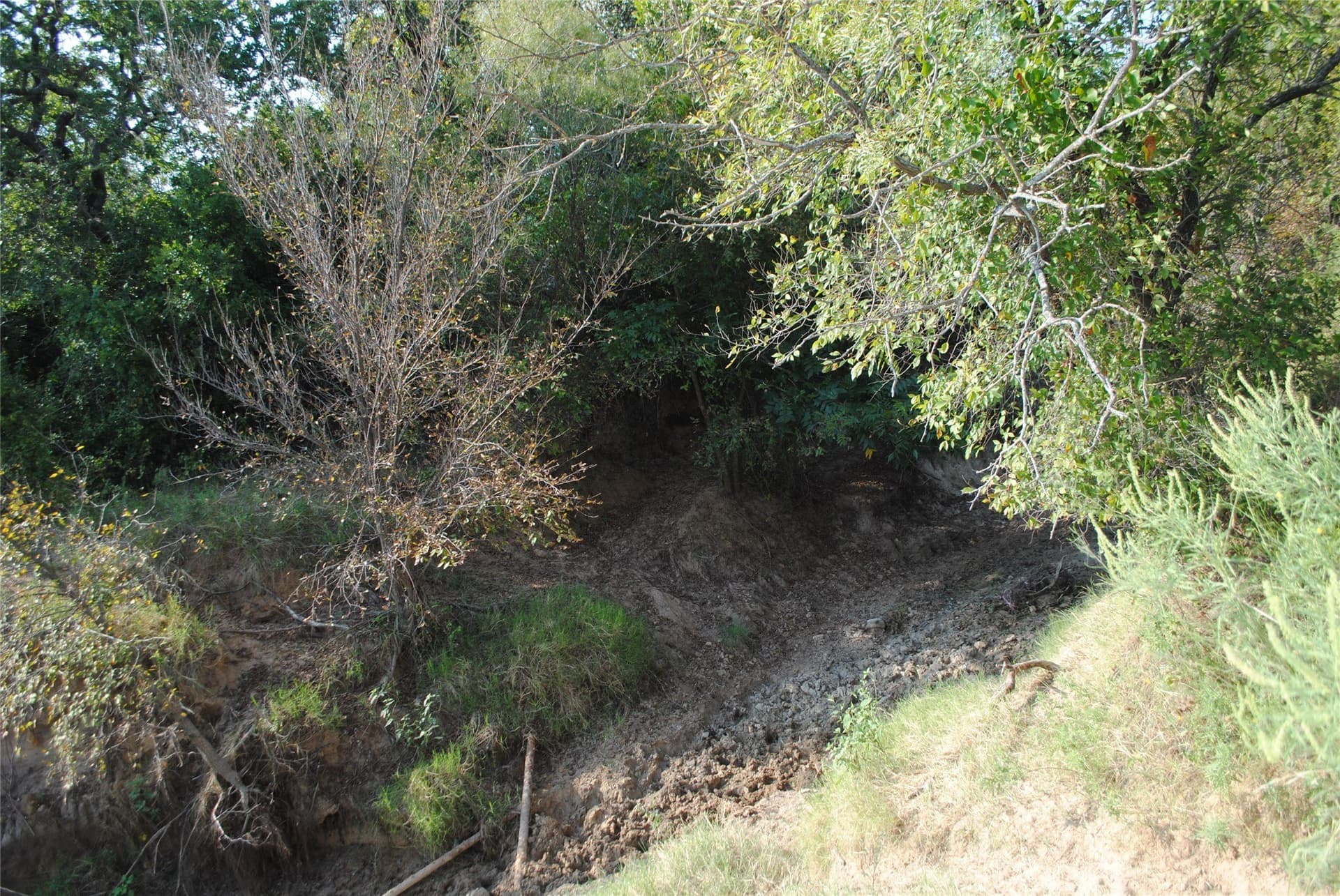 102.8 acres in Comanche County - photo 9