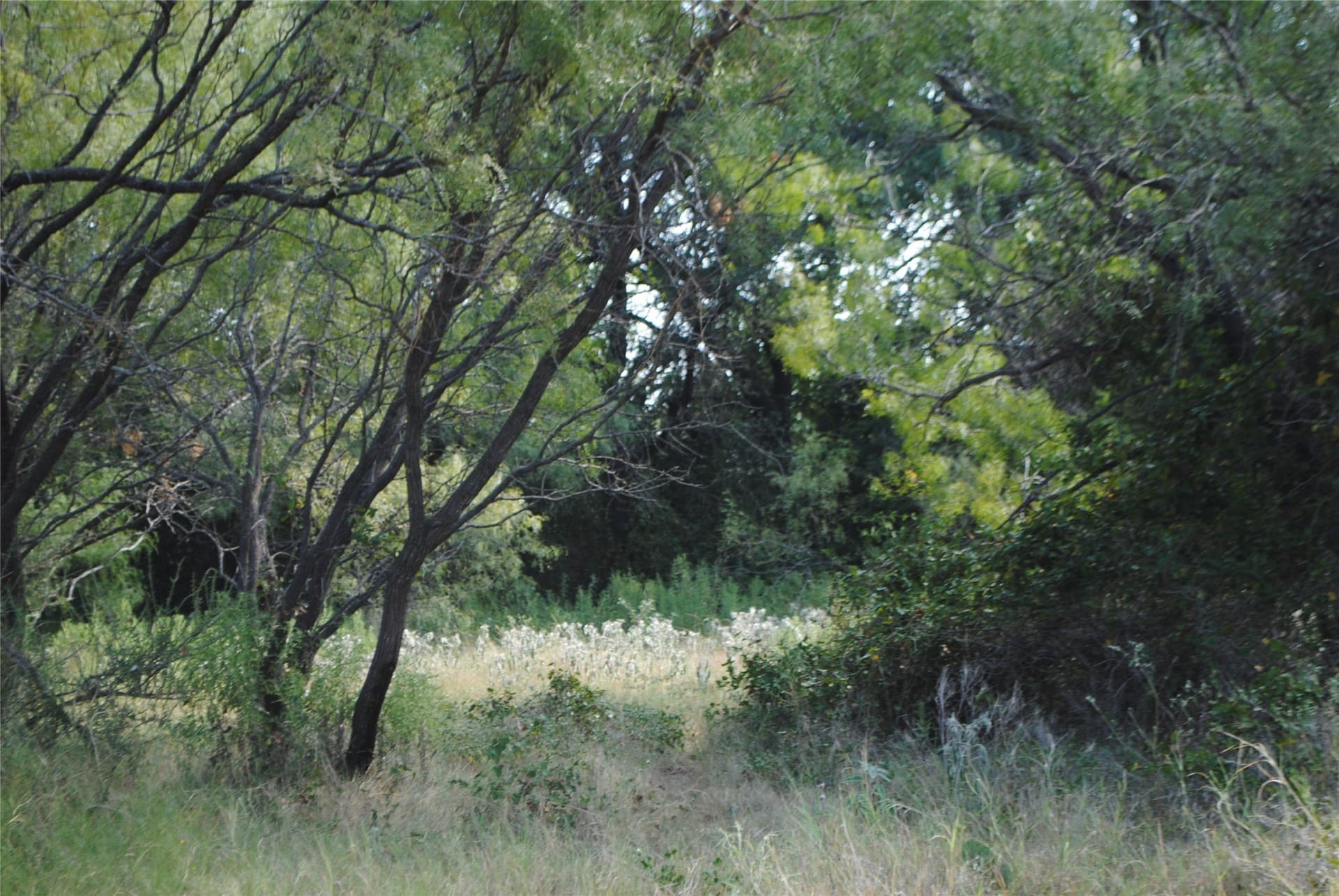 102.8 acres in Comanche County - photo 13