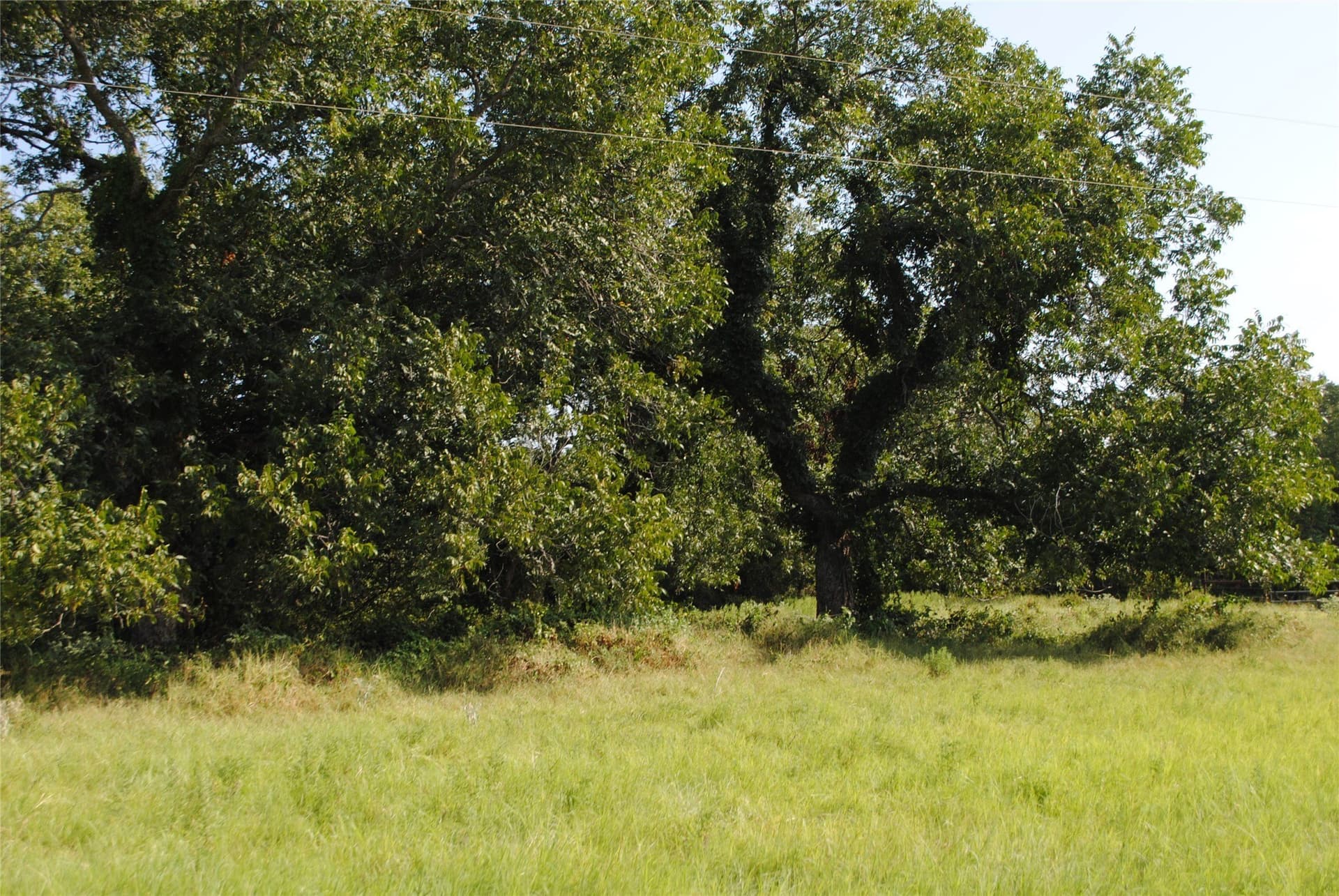 102.8 acres in Comanche County - photo 20