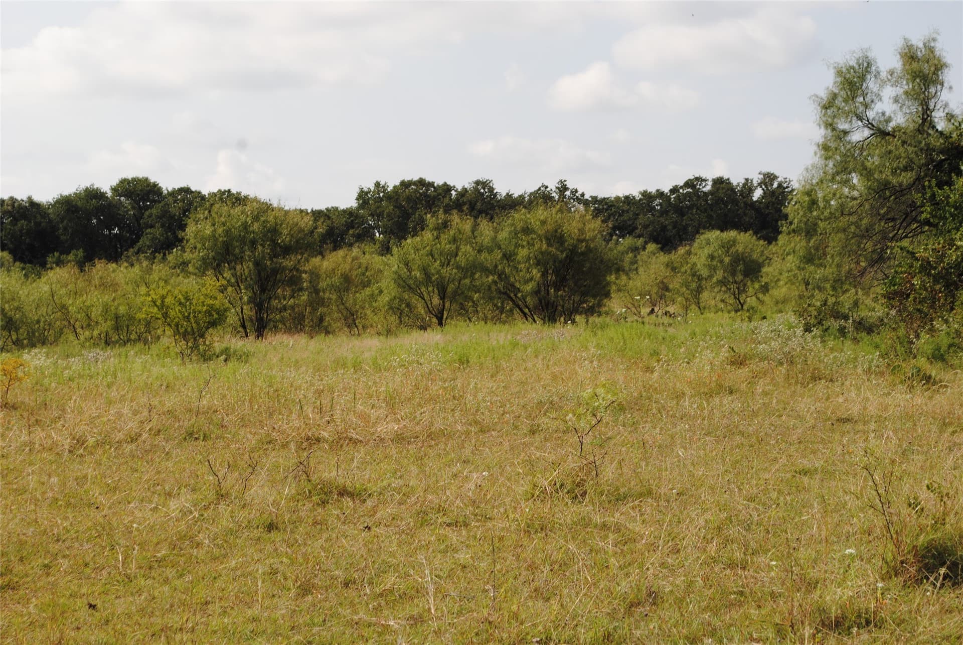 102.8 acres in Comanche County - photo 27
