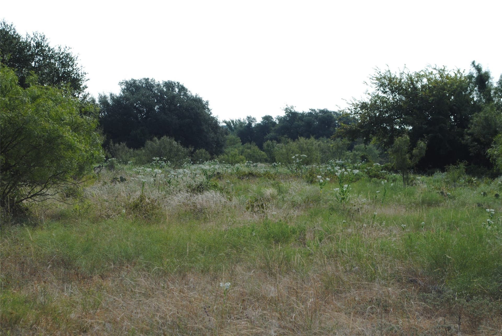 102.8 acres in Comanche County - photo 16