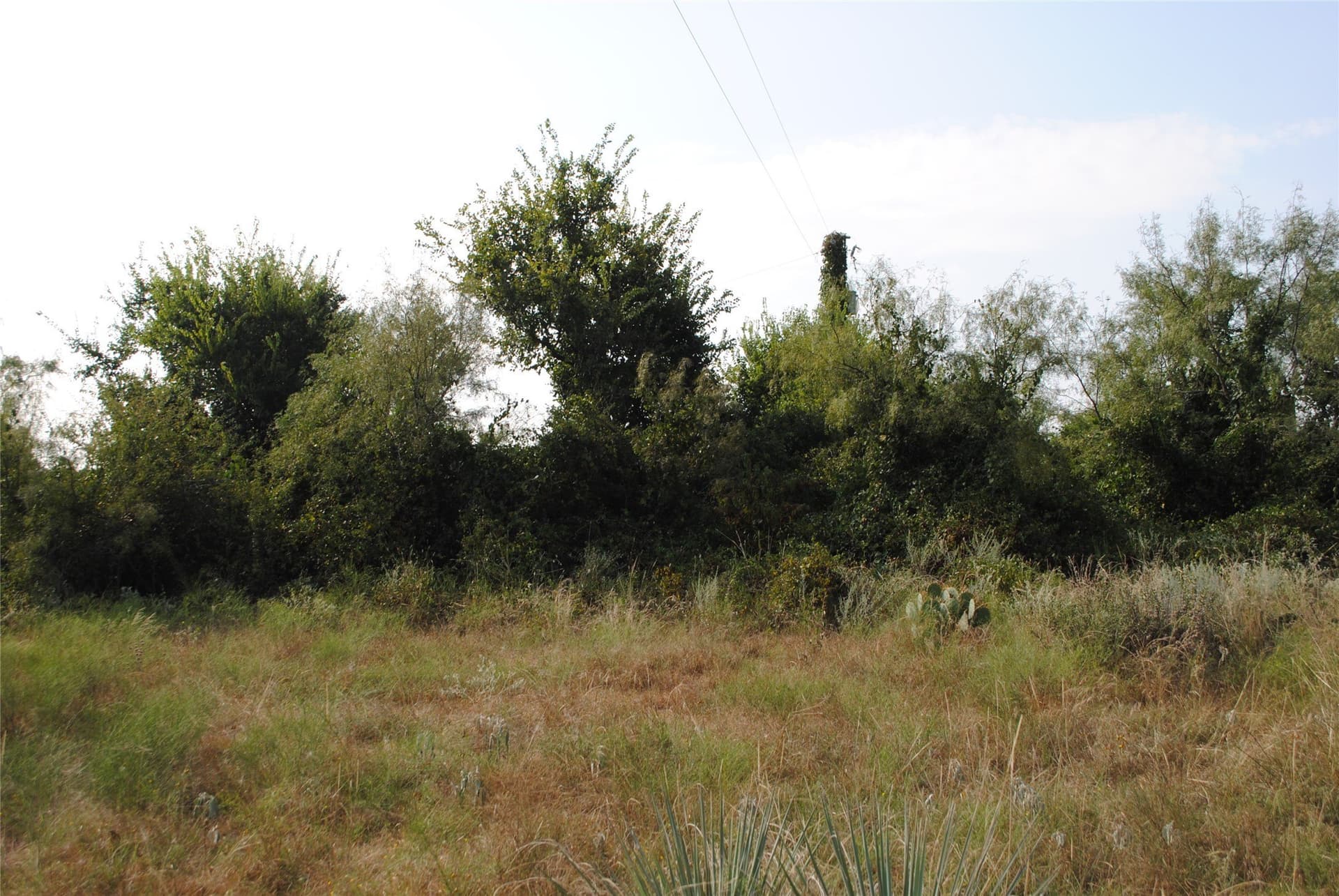 102.8 acres in Comanche County - photo 15