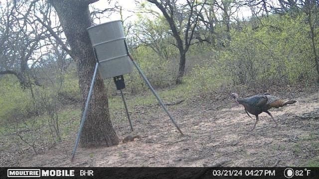 102.8 acres in Comanche County - photo 6