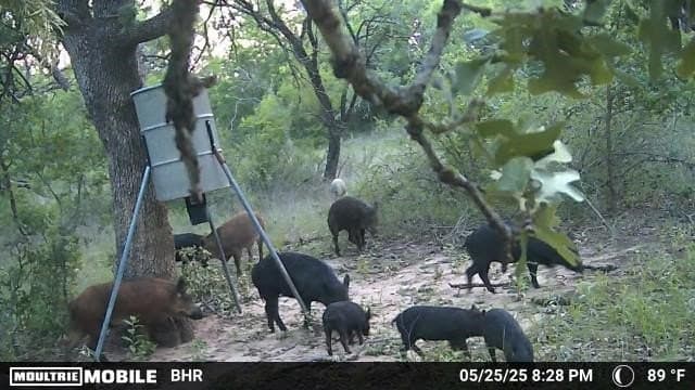 102.8 acres in Comanche County - photo 31