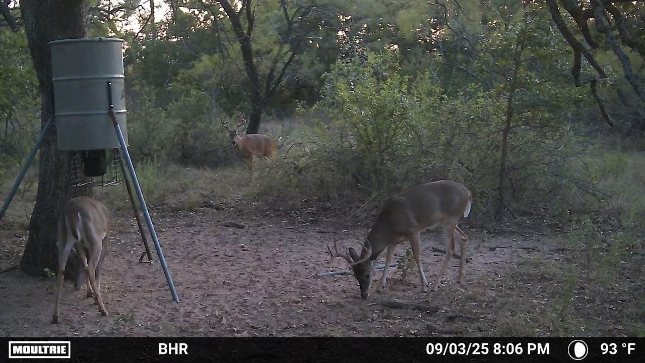 102.8 acres in Comanche County - photo 29
