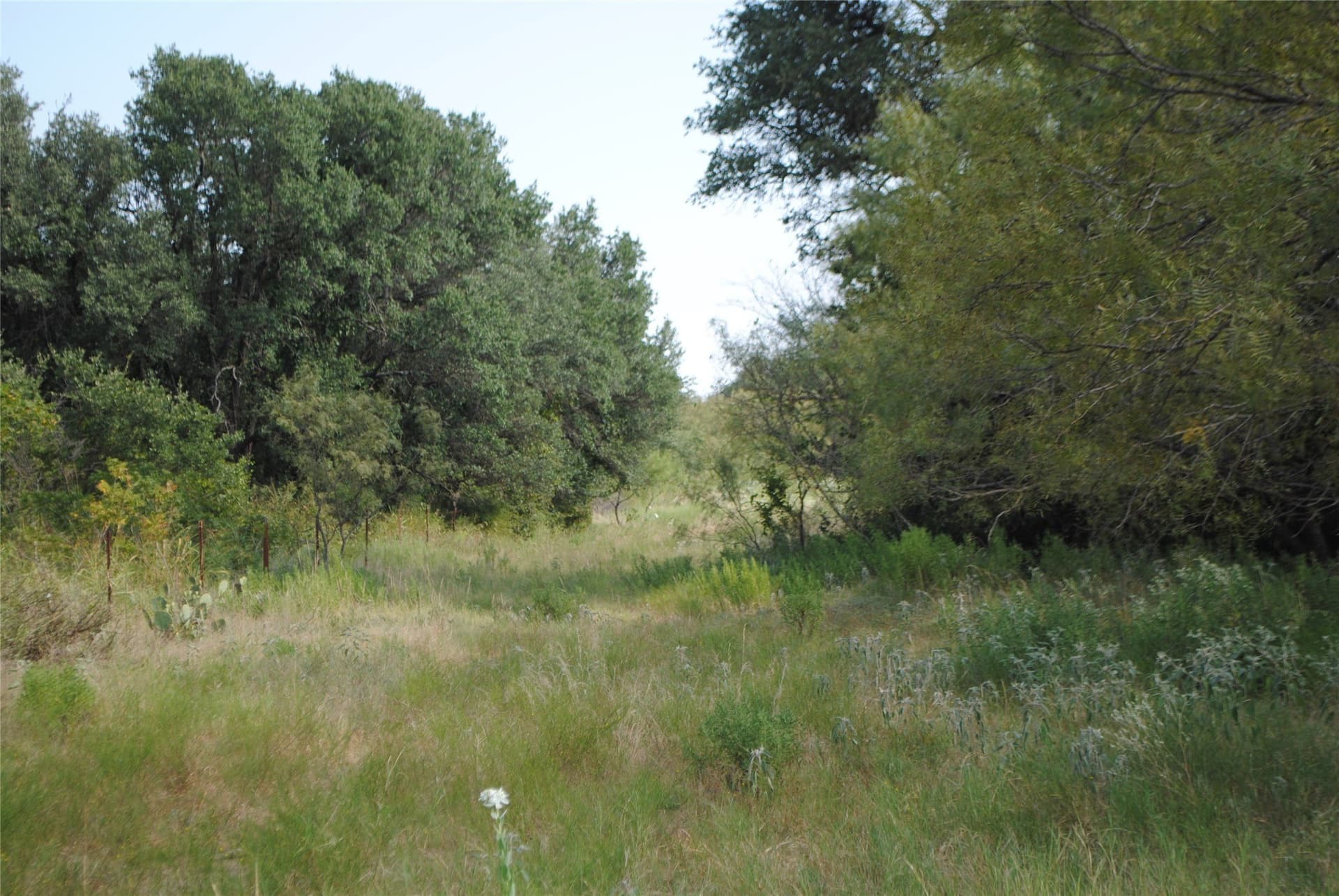 102.8 acres in Comanche County - photo 14