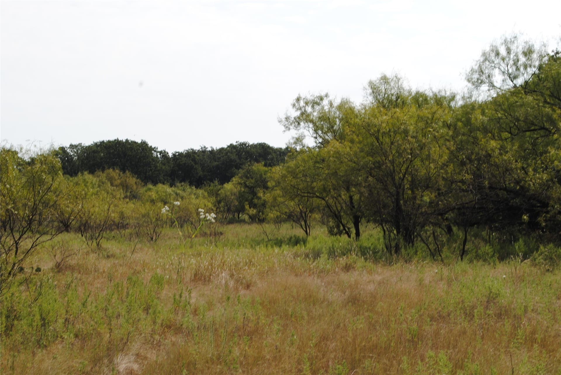 102.8 acres in Comanche County - photo 28