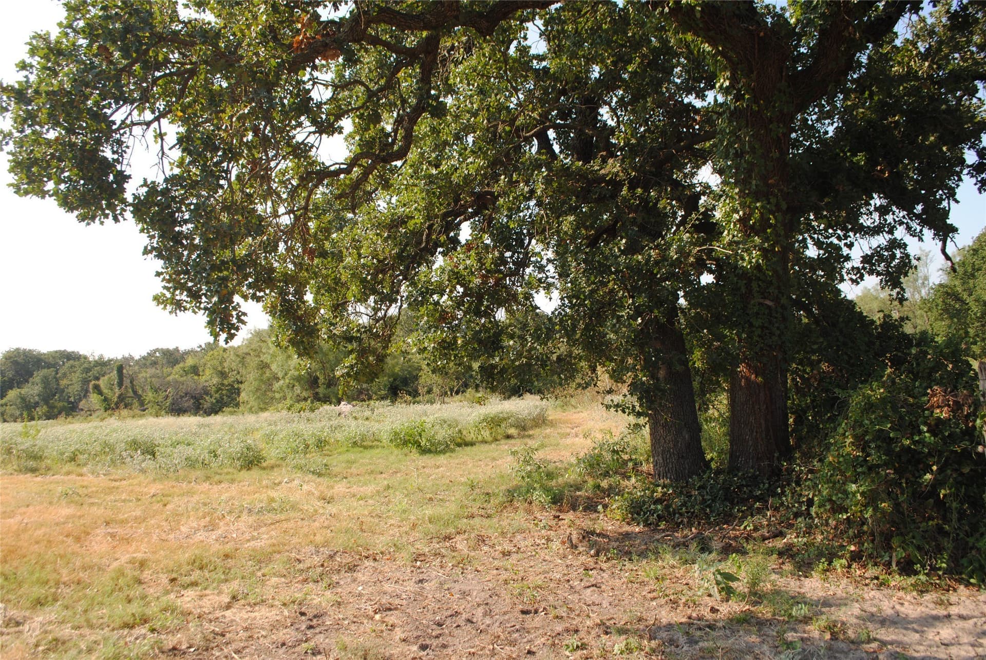 102.8 acres in Comanche County gallery image 2