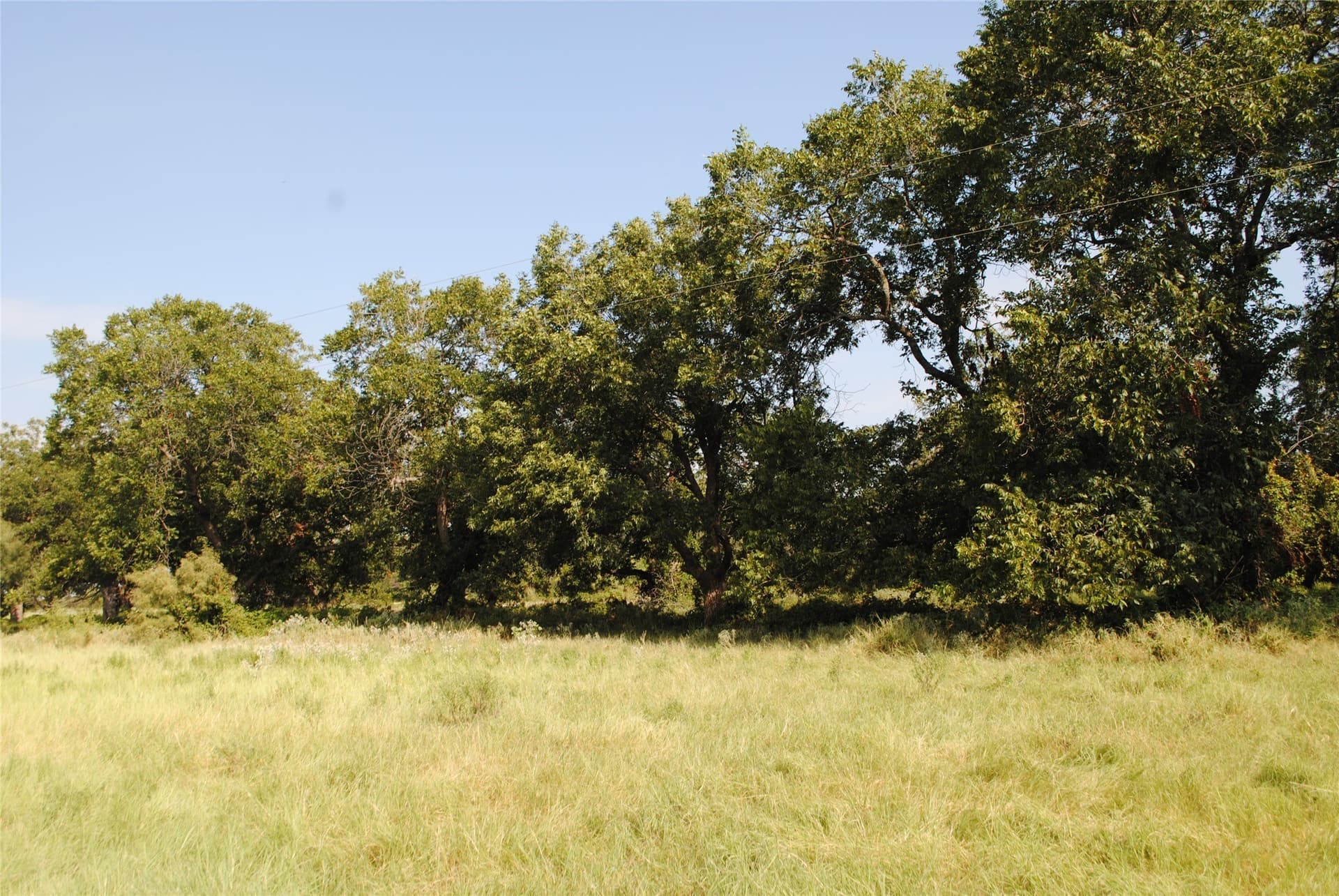 102.8 acres in Comanche County - photo 22