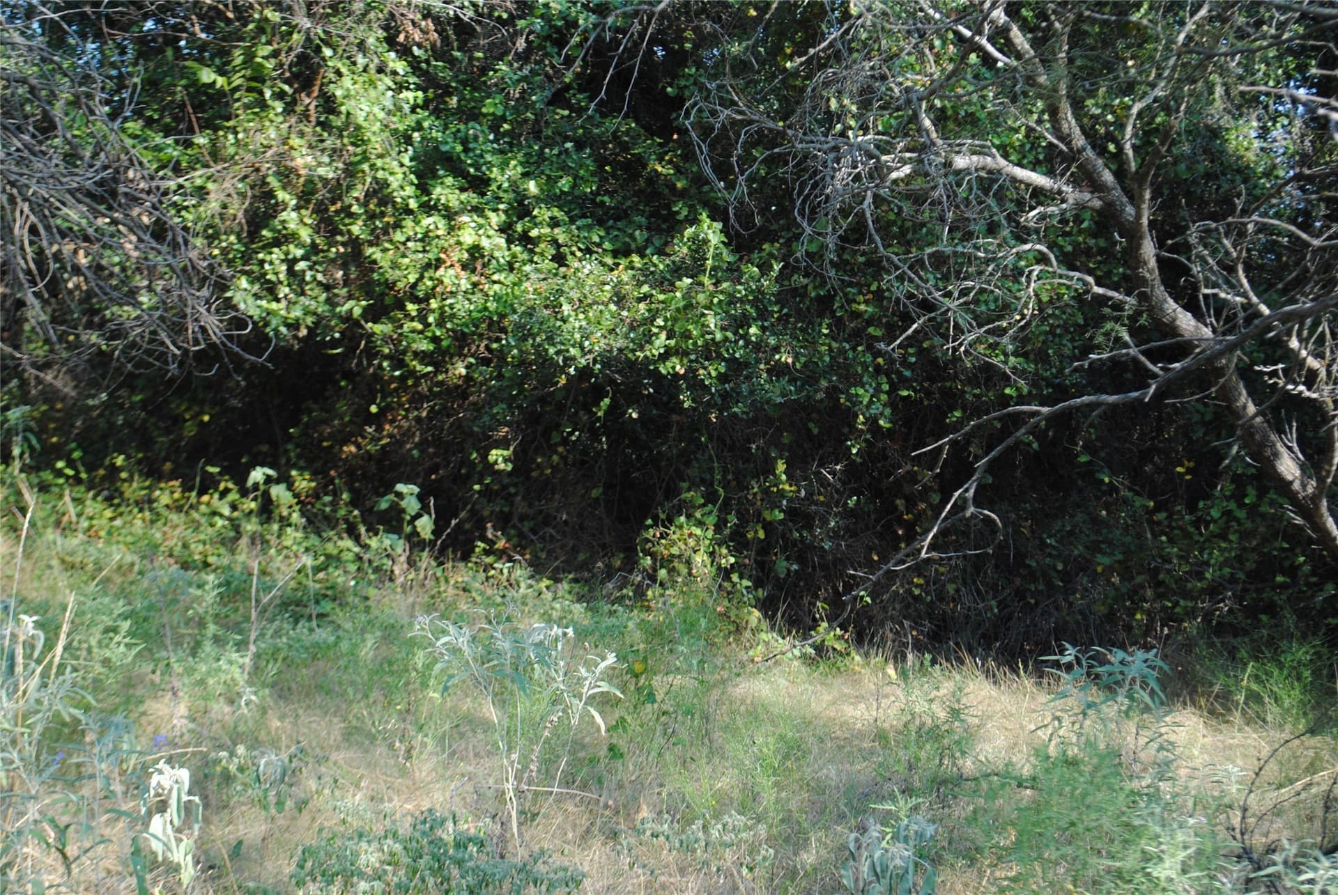 102.8 acres in Comanche County - photo 11