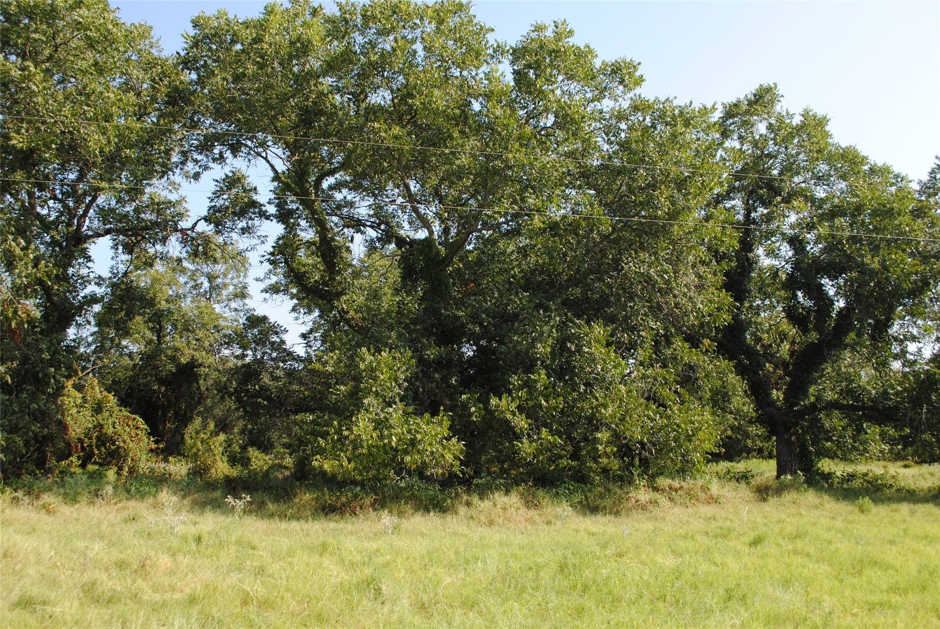 102.8 acres in Comanche County - photo 21
