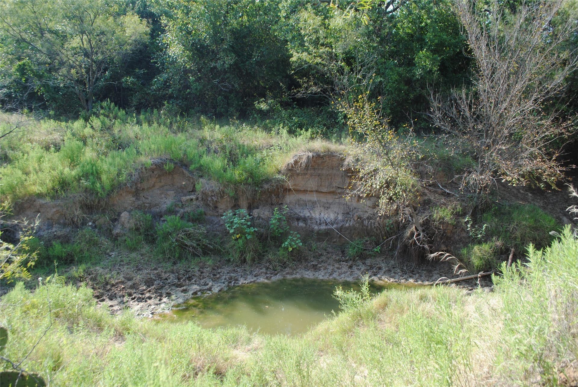 102.8 acres in Comanche County - photo 8