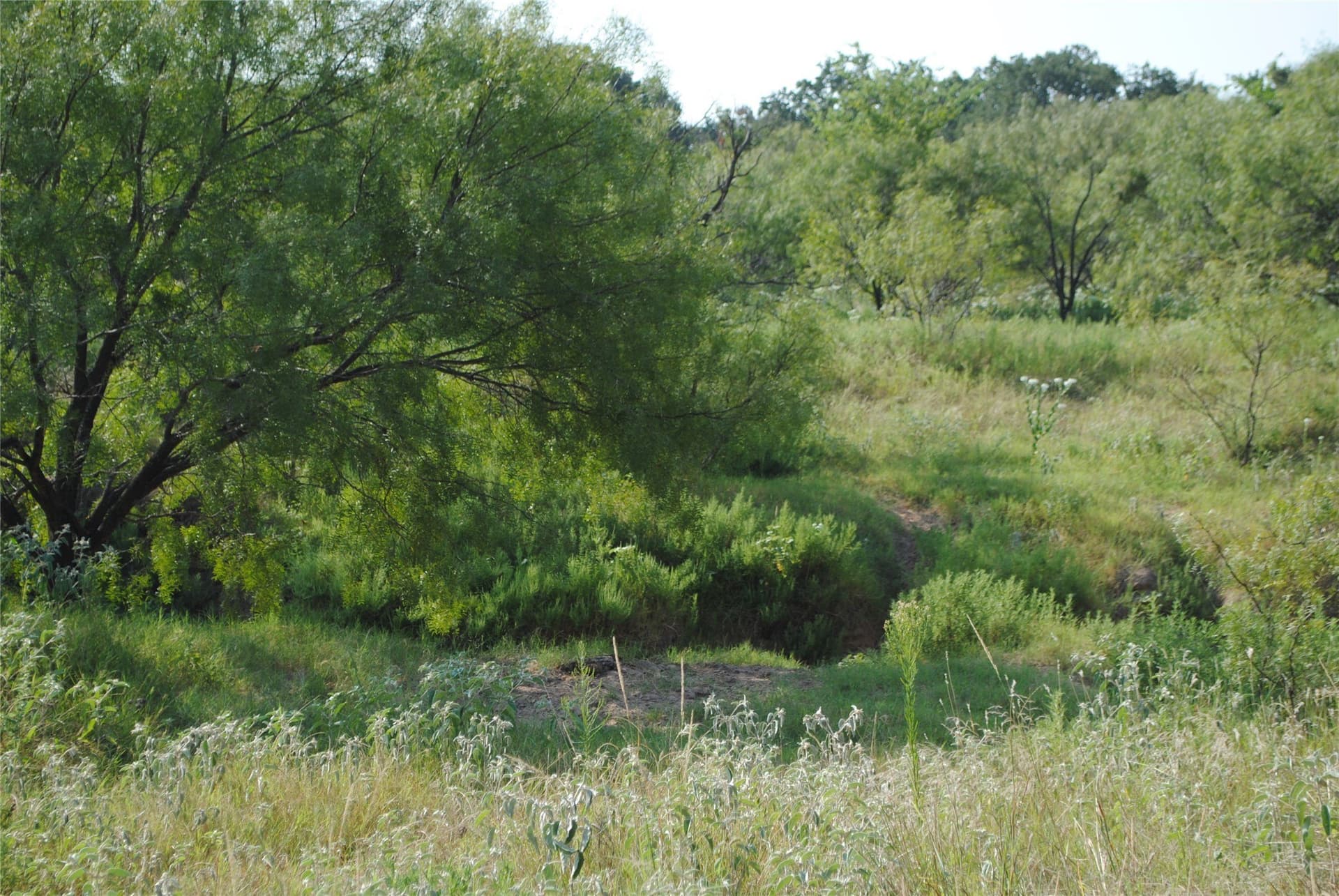102.8 acres in Comanche County - photo 12