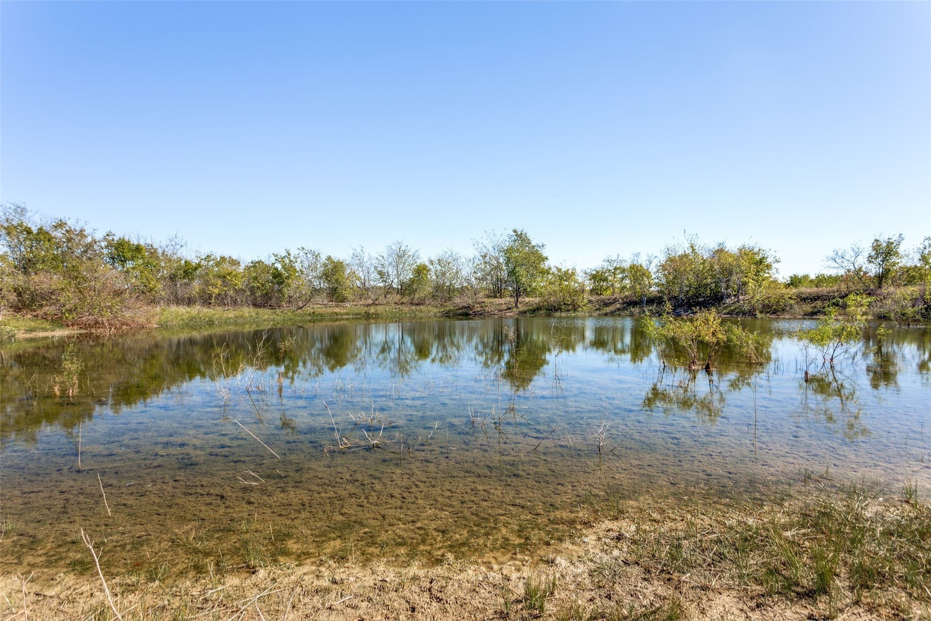 33.8 acres in Ellis County - photo 6