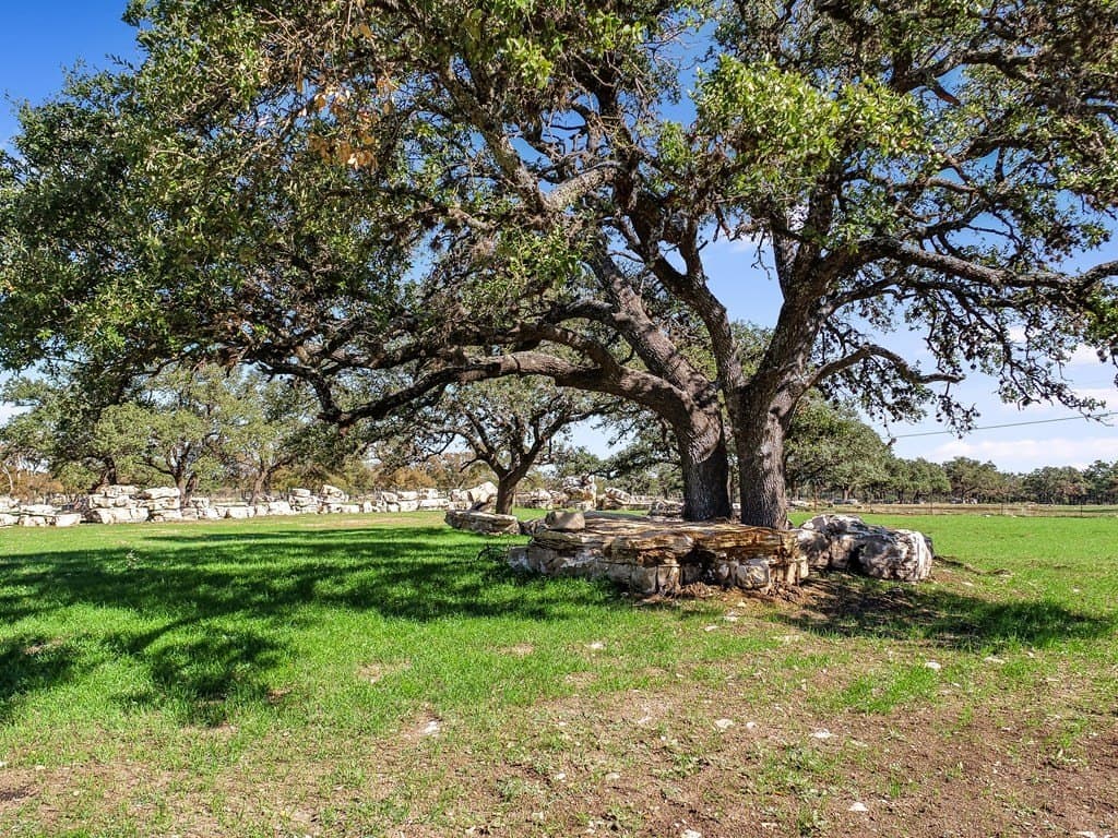 88.91 acres in Gillespie County - photo 6