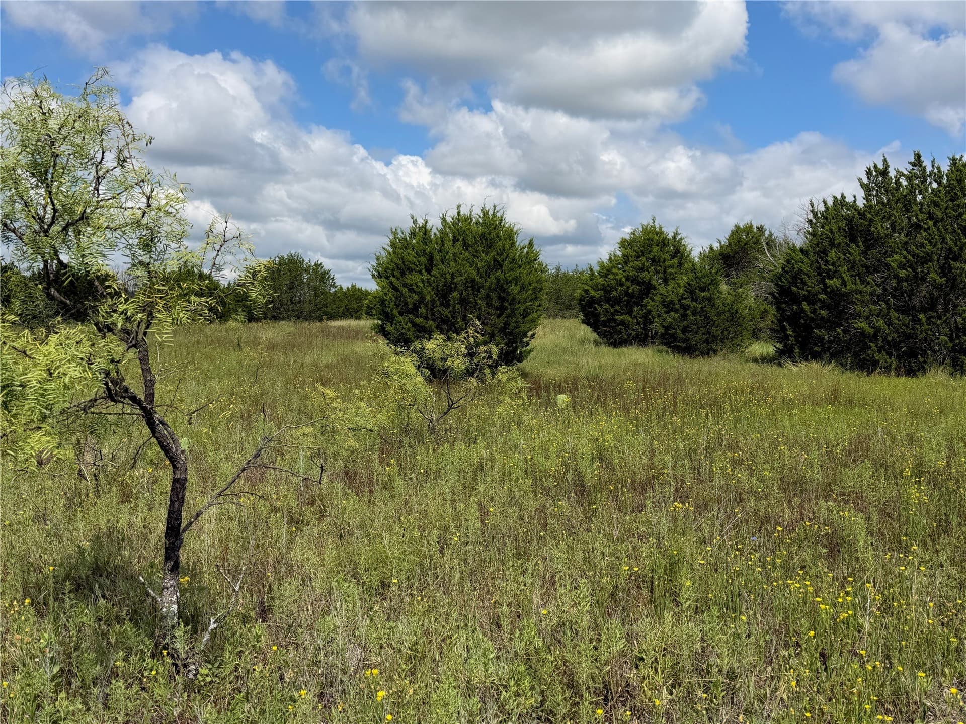 10.2 acres in Brown County - photo 12