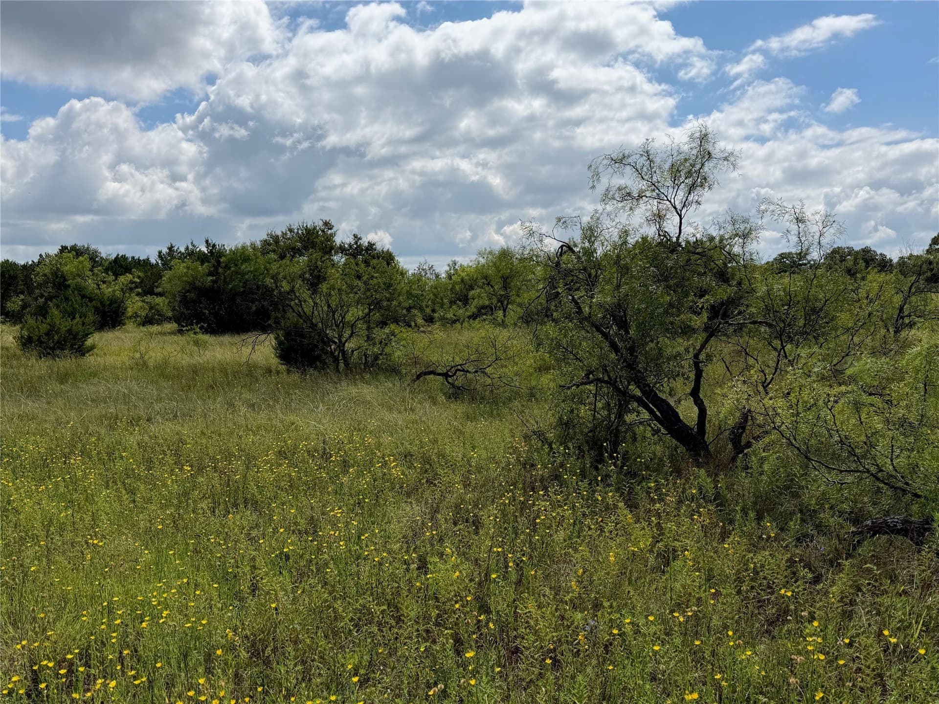 10.2 acres in Brown County - photo 16