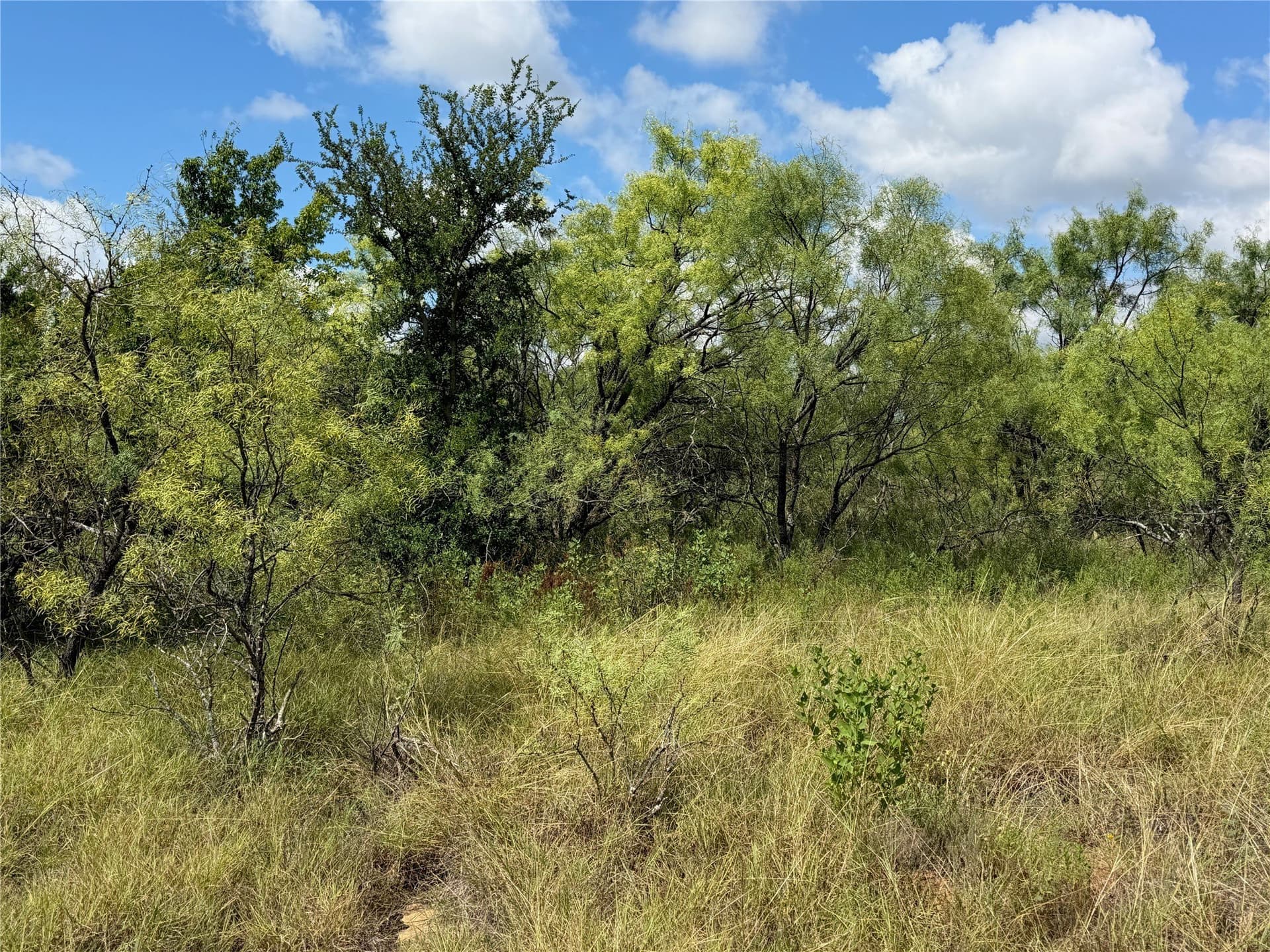 10.2 acres in Brown County - photo 21