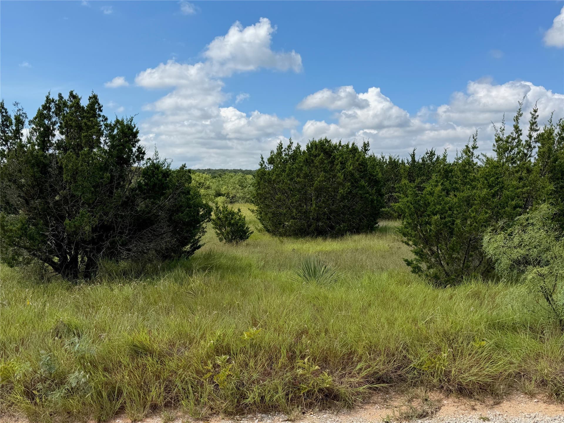 10.2 acres in Brown County - photo 4