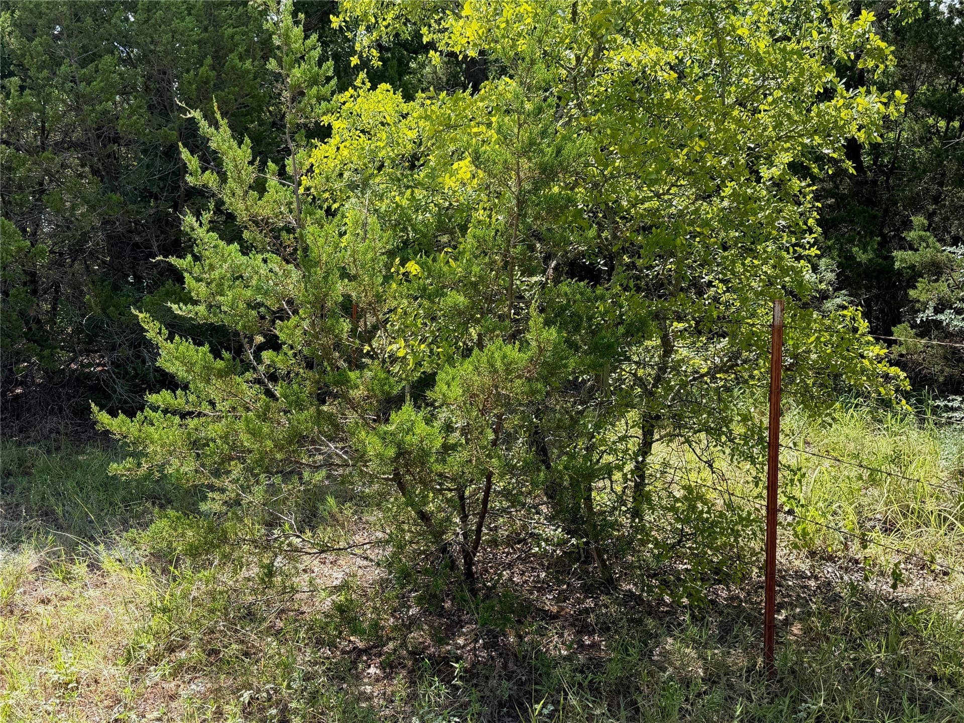 10.2 acres in Brown County - photo 27