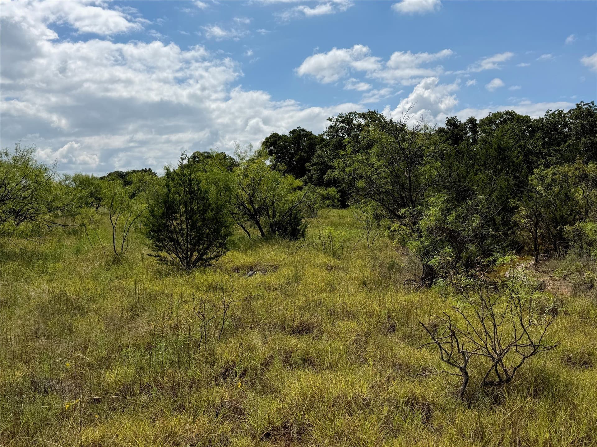 10.2 acres in Brown County - photo 19