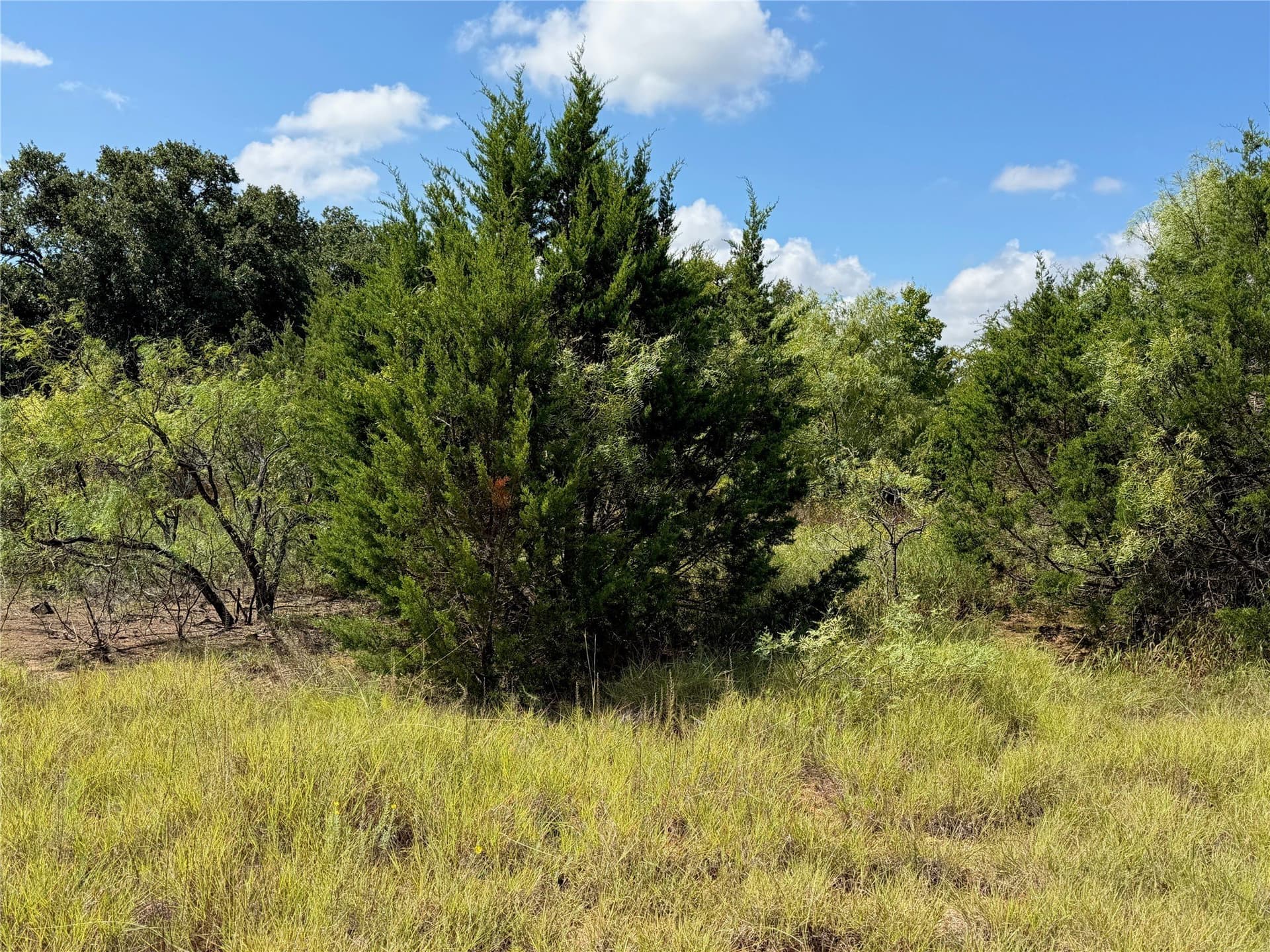 10.2 acres in Brown County - photo 20