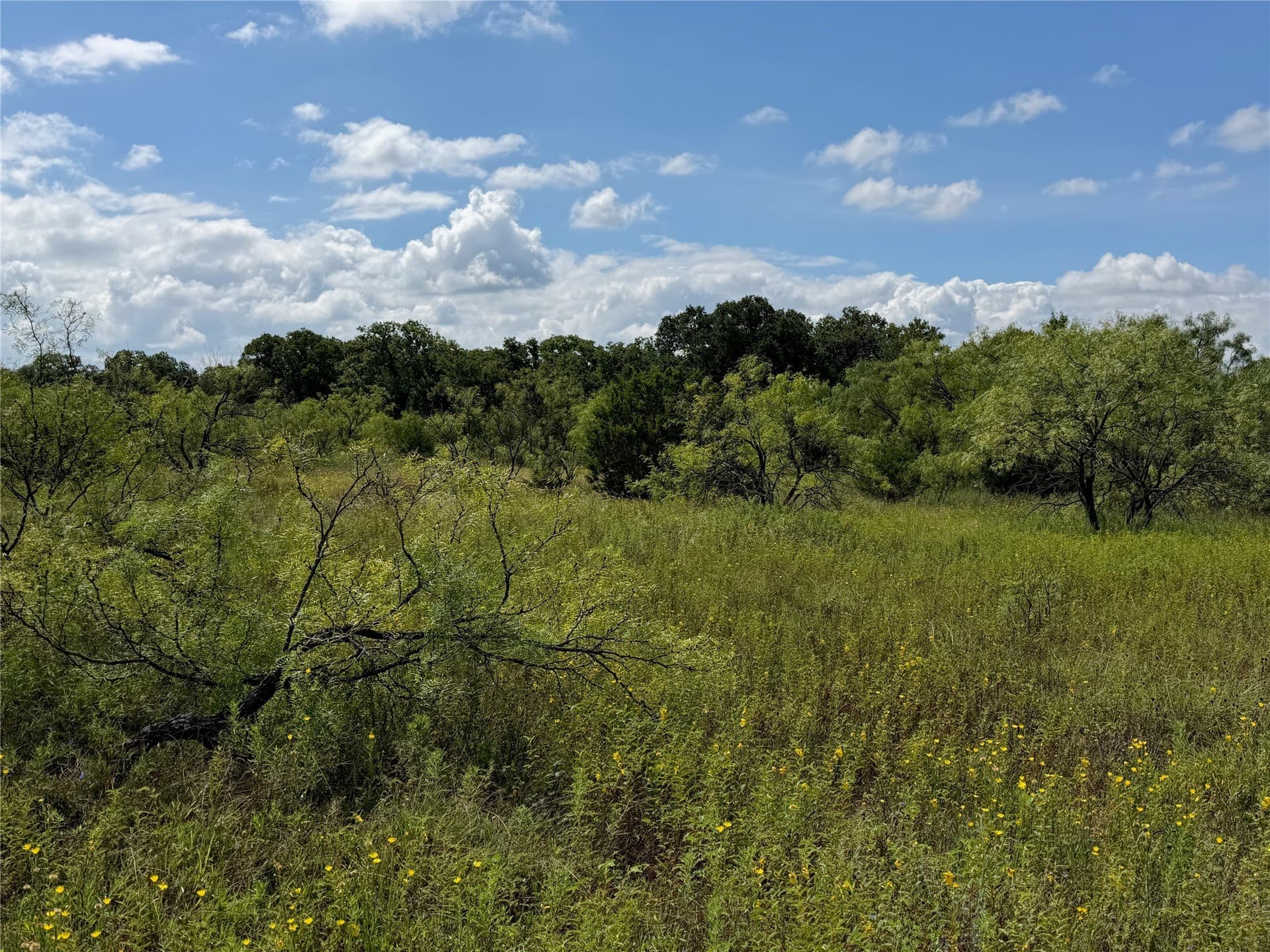 10.2 acres in Brown County - photo 9