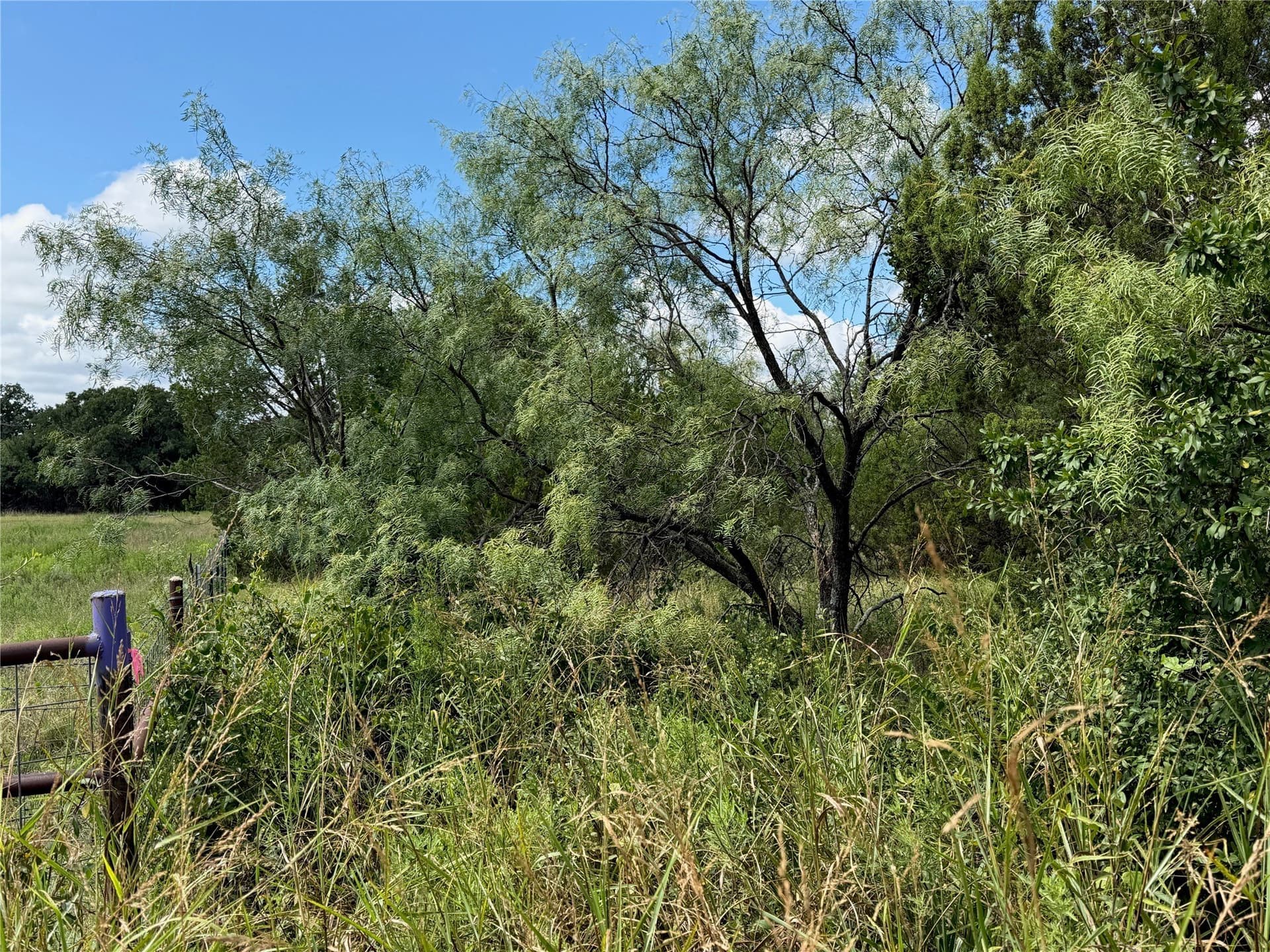 10.2 acres in Brown County - photo 8