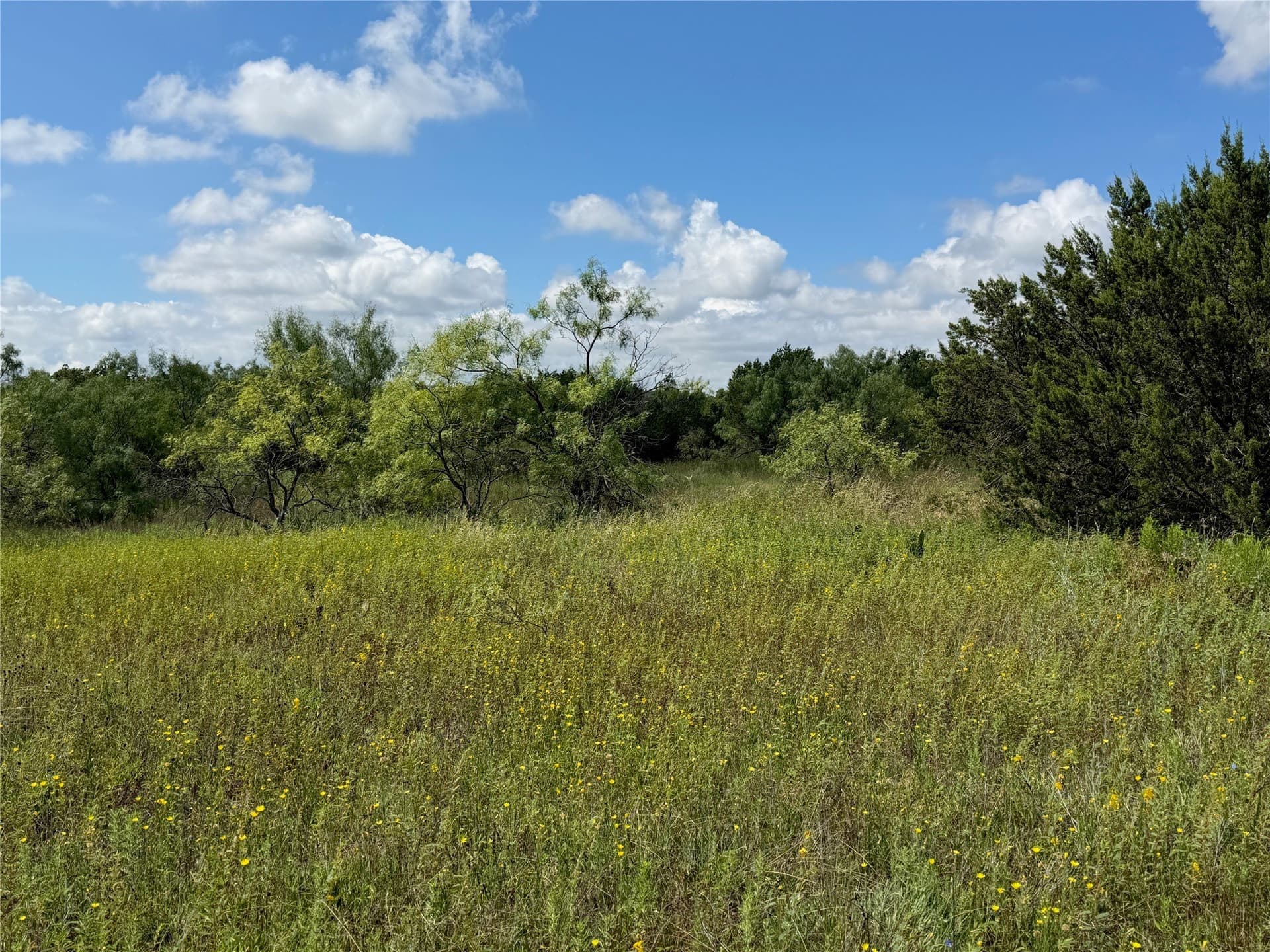 10.2 acres in Brown County - photo 10