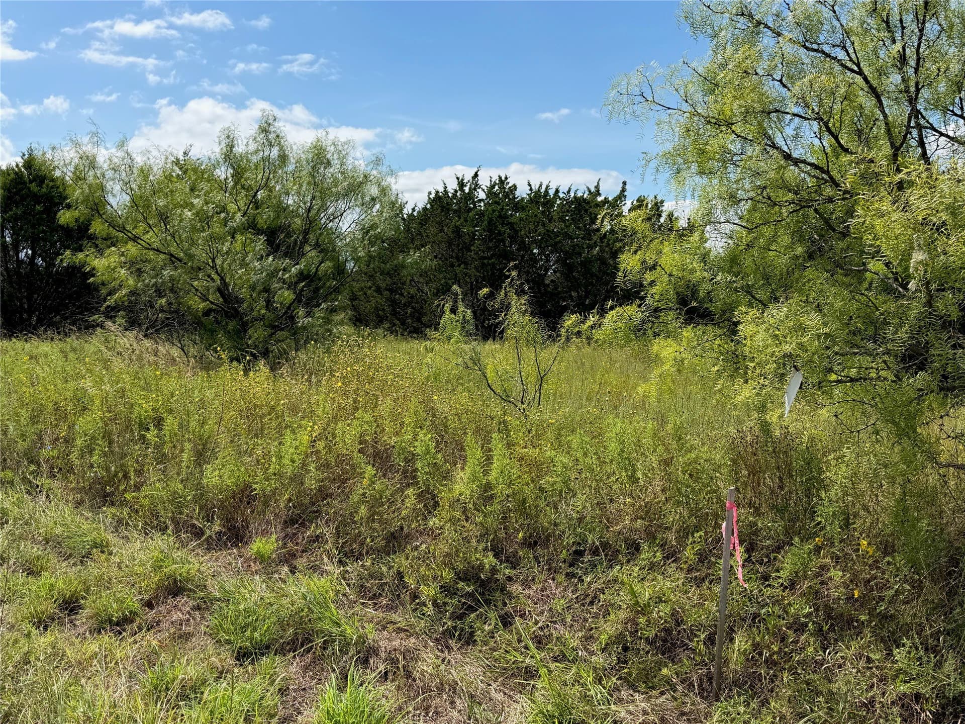 10.2 acres in Brown County - photo 7