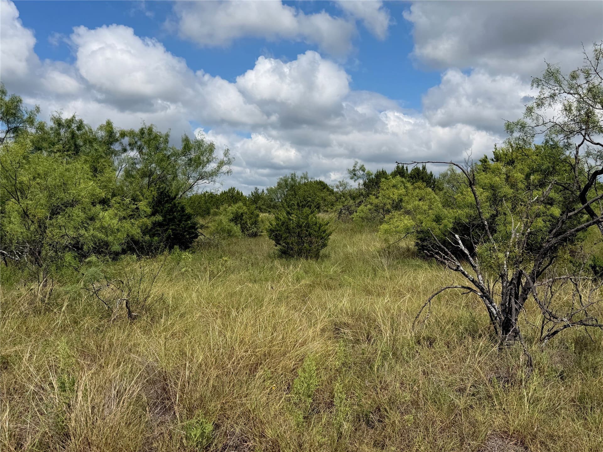 10.2 acres in Brown County - photo 22
